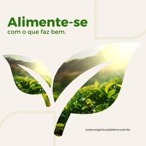 Orgânicos Da Terra
